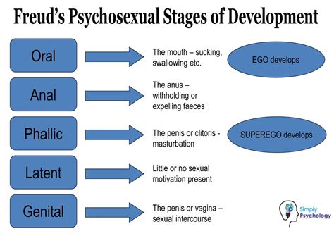 Freud's Stages of Human Development: 5 Psychosexual Stages.